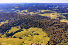 Moss forest from the north in the district Diesenhof in Lauterbach in the state Baden-Wuerttemberg, Germany