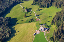 Krährbauernhof - Eva Miriam Häuber in the district Reichenbach in Hornberg in the state Baden-Wuerttemberg, Germany