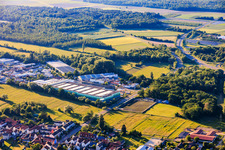 Fresh Platform Southwest GmbH in the district Minderslachen in Kandel in the state Rhineland-Palatinate, Germany