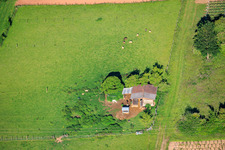 Sheepfold and pasture in Göcklingen in the state Rhineland-Palatinate, Germany