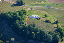 Wine Spring Festival at Pentecost in the vineyard. Large wine presentation amidst the "Kastanienbusch" vineyard (Most Beautiful Wine Festival in the Palatinate 2012) in Birkweiler in the state Rhineland-Palatinate, Germany