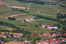 Kehler Hof in the district Ingenheim in Billigheim-Ingenheim in the state Rhineland-Palatinate, Germany