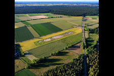 New creation of biotope compensation areas for the relocation of the lapwing as a result of the wind farm on Maxstrasse in Hatzenbühl in the state Rhineland-Palatinate, Germany