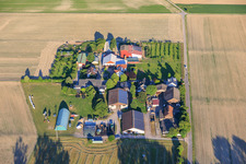 Jägerhof and Burgerhof in Neupotz in the state Rhineland-Palatinate, Germany