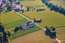 Kehler Hof in the district Ingenheim in Billigheim-Ingenheim in the state Rhineland-Palatinate, Germany