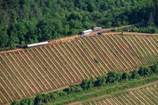 Wine Spring Festival at Pentecost in the vineyard. Large wine presentation amidst the "Kastanienbusch" vineyard (Most Beautiful Wine Festival in the Palatinate 2012) in Birkweiler in the state Rhineland-Palatinate, Germany