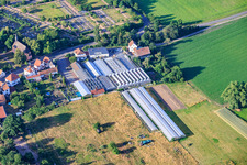 Plant World Service - Garden Center in the district Iggelheim in Böhl-Iggelheim in the state Rhineland-Palatinate, Germany