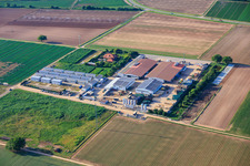 Farmyard, residential containers and vegetable growing halls - Dieter Stubenbordt in Zeiskam in the state Rhineland-Palatinate, Germany