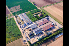 Farmyard, residential containers and vegetable growing halls - Dieter Stubenbordt in Zeiskam in the state Rhineland-Palatinate, Germany