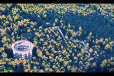 Treetop Walk Alsace / Chemin des Cimes Alsace in Cleebourg in the state Bas-Rhin, France