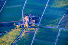 Last ray of sunshine on the Leinsweiler courtyard in Leinsweiler in the state Rhineland-Palatinate, Germany