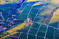 Last ray of sunshine on the Leinsweiler courtyard in Leinsweiler in the state Rhineland-Palatinate, Germany