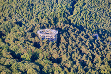 Treetop Walk Alsace / Chemin des Cimes Alsace in Cleebourg in the state Bas-Rhin, France