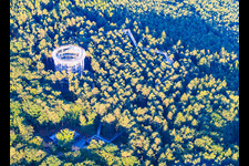 Treetop Walk Alsace / Chemin des Cimes Alsace in Cleebourg in the state Bas-Rhin, France
