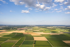 In Tiefenthal in Billigheim-Ingenheim in the state Rhineland-Palatinate, Germany