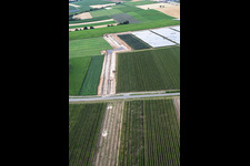 Earthworks for the route between the first drilling site on the Schleidberg and the second drilling site on the Trappelberg of Vulcan Energy's Lionheart project for the future climate-neutral heat supply of the city of Landau, as well as lithium extraction and electricity production through an ORC plant in Insheim in the state Rhineland-Palatinate, Germany