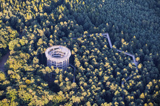 Treetop Walk Alsace / Chemin des Cimes Alsace in Cleebourg in the state Bas-Rhin, France