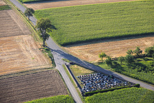 Hermerswiller Cemetery in Hoffen in the state Bas-Rhin, France