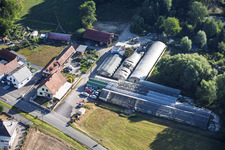 Chez Jerome" auto repair shop near the nursery in Hoffen in the state Bas-Rhin, France