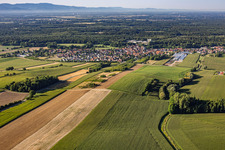 From the north in Niederrœdern in the state Bas-Rhin, France