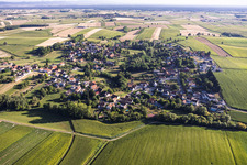 From the south in Eberbach-Seltz in the state Bas-Rhin, France
