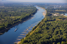 Rhine at low water in Munchhausen in the state Bas-Rhin, France
