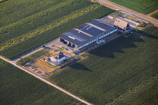 Ellermann-Spiegel Winery in Kleinfischlingen in the state Rhineland-Palatinate, Germany