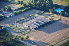Bergdolt-Reif & Nett Winery in the district Duttweiler in Neustadt an der Weinstraße in the state Rhineland-Palatinate, Germany