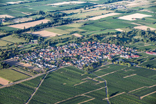 From the northeast in Venningen in the state Rhineland-Palatinate, Germany