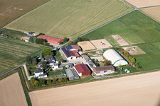 Lothar Krapp Farm (relocated farmstead) – Farmer in the district Langstadt in Babenhausen in the state Hesse, Germany