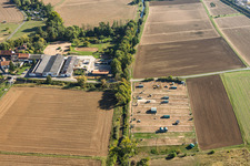 Konfurter Mühle featuring Bernius Equine Practice and Matthias Gehb & Dr. [Name Cut Off] Veterinary Group Practice Edith Bernius in Babenhausen in the state Hesse, Germany