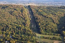 Forest clearing for a high-voltage power line along the pylon trail in Ettlingen in the state Baden-Wuerttemberg, Germany