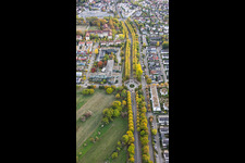 Autumnal avenue along Karlsruher Straße in Ettlingen in the state Baden-Wuerttemberg, Germany