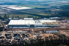 Construction of a new logistics hall in the Am Horst industrial estate in the district Minderslachen in Kandel in the state Rhineland-Palatinate, Germany from above