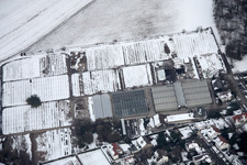 Horticultural room in the district Rüppurr in Karlsruhe in the state Baden-Wuerttemberg, Germany