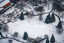 Sledding in the spa park in the district Reichenbach in Waldbronn in the state Baden-Wuerttemberg, Germany