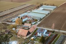 Oblique view of Nursery in Vollmersweiler in the state Rhineland-Palatinate, Germany