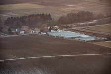 Nursery in Vollmersweiler in the state Rhineland-Palatinate, Germany from above