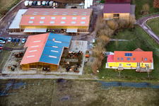Bienwald Icelandic Horse Stud in Freckenfeld in the state Rhineland-Palatinate, Germany
