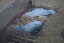 Wintry snowy Ponds and Morast- water surface in a pond landscape in Minfeld in the state Rhineland-Palatinate