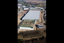 Oblique view of Construction of a new logistics hall in the Am Horst industrial estate in the district Minderslachen in Kandel in the state Rhineland-Palatinate, Germany