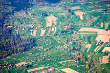 Fruit tree blossom in the district Schwann in Straubenhardt in the state Baden-Wuerttemberg, Germany