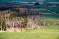 Aerial view of Birches in spring in Raisting in the state Bavaria, Germany