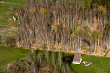Birches in spring in Raisting in the state Bavaria, Germany from above