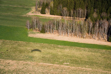 Birches in spring in Raisting in the state Bavaria, Germany seen from above
