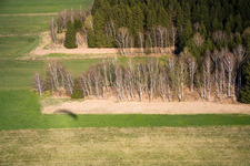 Birches in spring in Raisting in the state Bavaria, Germany from the plane