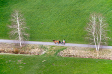 Horse vehicle in traffic along the Landstrasse in Raisting in the state Bavaria