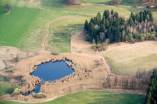 Pond in Andechs in the state Bavaria, Germany
