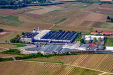 Aerial photograpy of Building and production halls on the premises of Wellpappenfabrik GmbH in the district Sausenheim in Gruenstadt in the state Rhineland-Palatinate, Germany