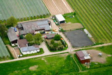 Lindenhof in Steinweiler in the state Rhineland-Palatinate, Germany